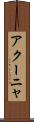 アクーニャ Scroll