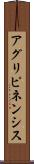 アグリピネンシス Scroll
