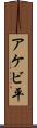 アケビ平 Scroll