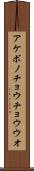 アケボノチョウチョウウオ Scroll