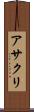 アサクリ Scroll