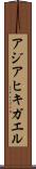 アジアヒキガエル Scroll
