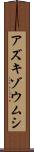 アズキゾウムシ Scroll