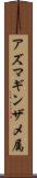 アズマギンザメ属 Scroll