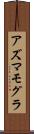 アズマモグラ Scroll