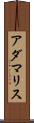 Adamaris Scroll