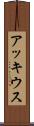 アッキウス Scroll