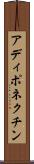 アディポネクチン Scroll