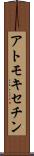 アトモキセチン Scroll