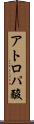 アトロパ酸 Scroll