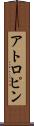 アトロピン Scroll