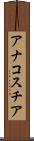 アナコスチア Scroll