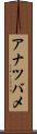 アナツバメ Scroll