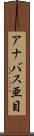 アナバス亜目 Scroll
