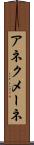 アネクメーネ Scroll