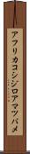 アフリカコシジロアマツバメ Scroll