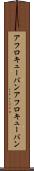 アフロキューバン Scroll