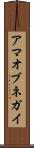 アマオブネガイ Scroll