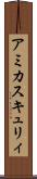 アミカス・キュリィ Scroll