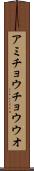 アミチョウチョウウオ Scroll