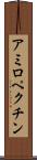 アミロペクチン Scroll