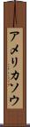 アメリカソウ Scroll