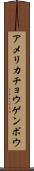 アメリカチョウゲンボウ Scroll