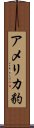 アメリカ豹 Scroll