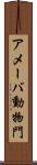 アメーバ動物門 Scroll