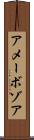 アメーボゾア Scroll
