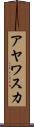 アヤワスカ Scroll