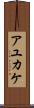 アユカケ Scroll