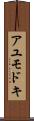 アユモドキ Scroll