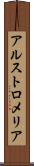 アルストロメリア Scroll
