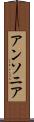 アンソニア Scroll