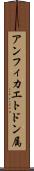 アンフィカエトドン属 Scroll
