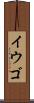 イウゴ Scroll