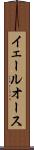 イェールオース Scroll