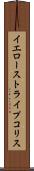 イエローストライプコリス Scroll