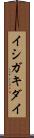 イシガキダイ Scroll