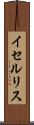イセルリス Scroll