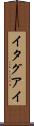 イタグアイ Scroll