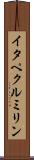 イタペクルミリン Scroll