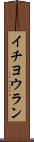 イチヨウラン Scroll