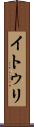 イトゥリ Scroll