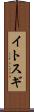 イトスギ Scroll