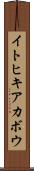 イトヒキアカボウ Scroll