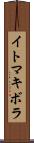 イトマキボラ Scroll