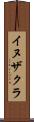 イヌザクラ Scroll