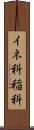 イネ科 Scroll